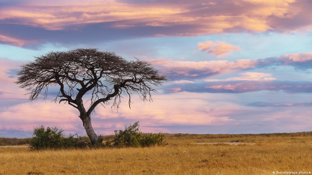 The African Landscapes Dialogue comes to Tanzania