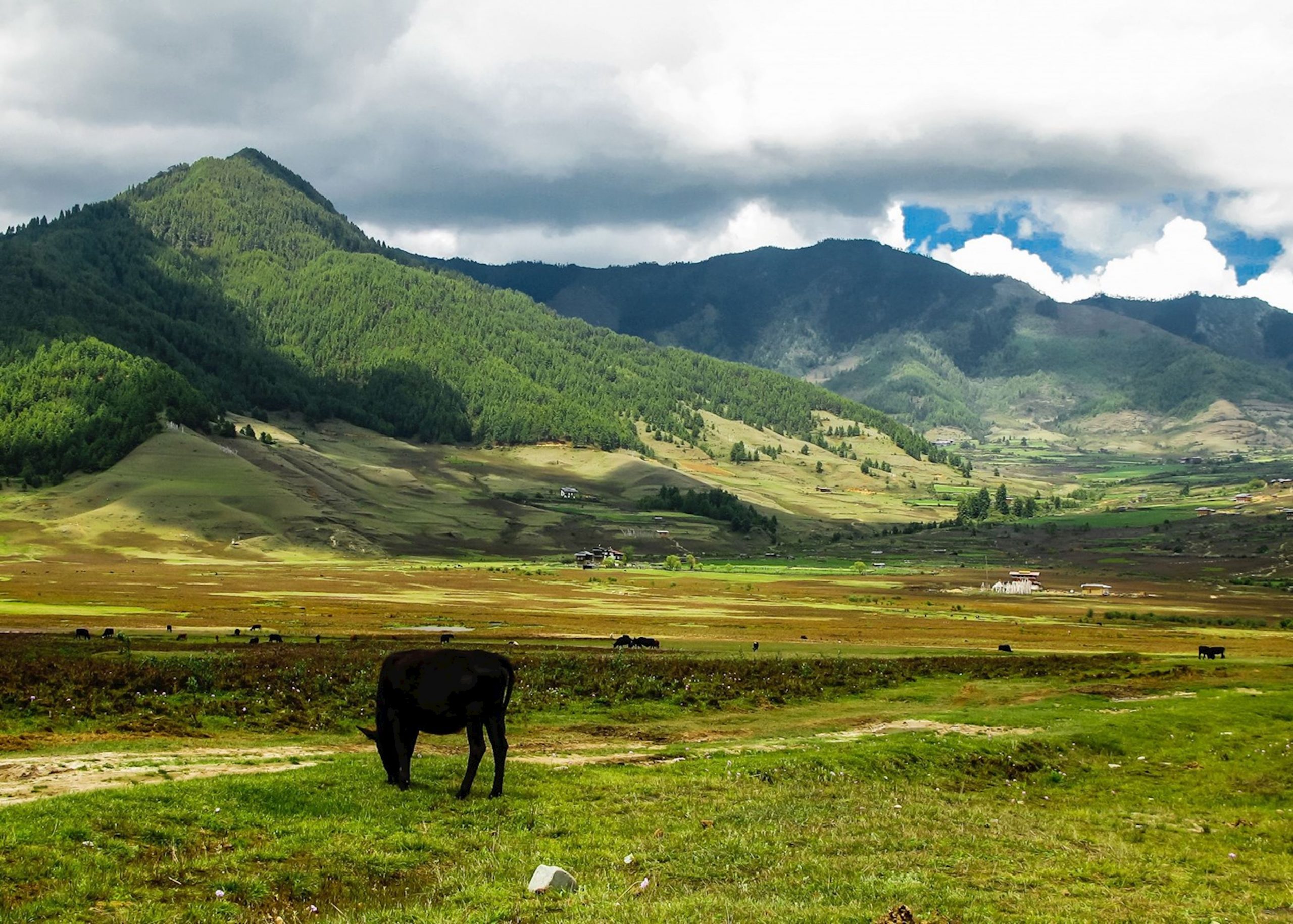 Phobjikha Valley in Bhutan