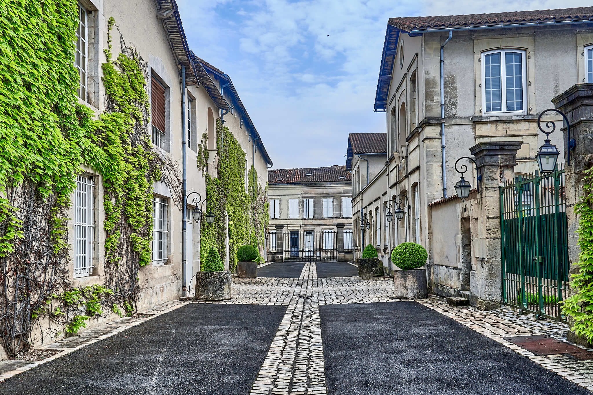 Cognac Tasting Tour: Discover the Secret of the French Premium Spirit