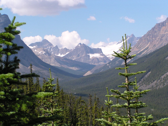 Bald Hills Trail Hike, Jasper National Park Copy