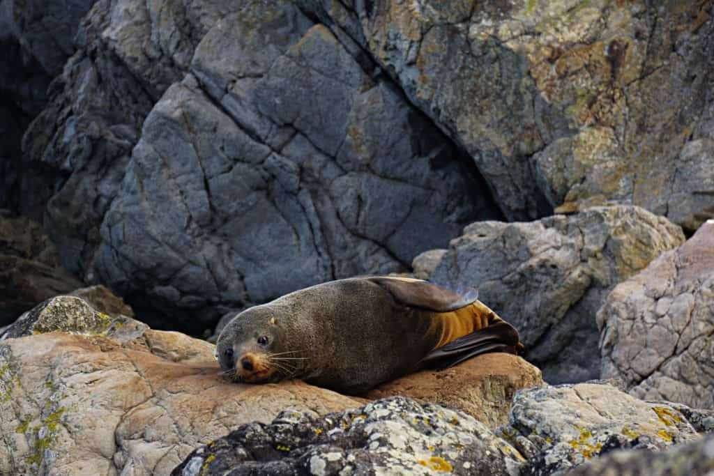 Top 10 Best Day Trips from Wellington to Book in 2022